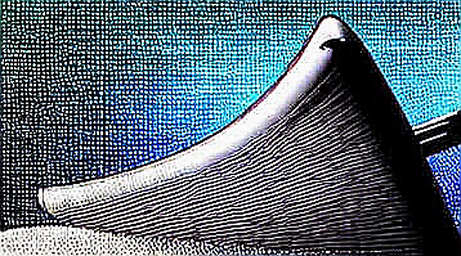 The $2.5 Million Tell: What a Silent Settlement Reveals About Political Crypto's Governance Deficit The $2.5 Million Tell: What a Silent Settlement Reveals About Political Crypto's Governance Deficit